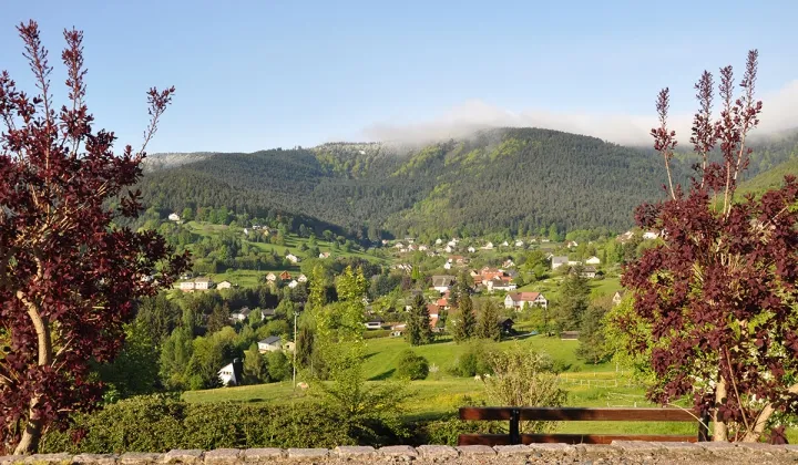 Camping - Wangenbourg-Engenthal - Alsace - Les Huttes