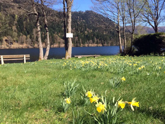 Camping - Xonrupt-Longemer - Lorraine - Les Jonquilles
