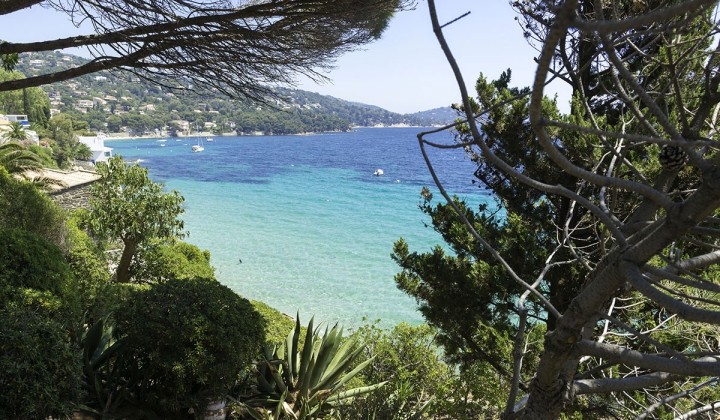 Les Mimosas - Provence-Alpes-Côte d'Azur - Le Lavandou - 511€/sem