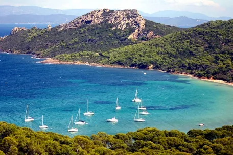 Camping - Le Lavandou - Provence-Alpes-Côte d'Azur - Les Mimosas