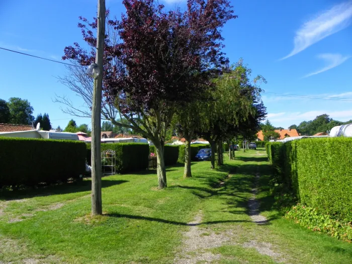 Camping - Blosseville - Haute-Normandie - Les Moutons