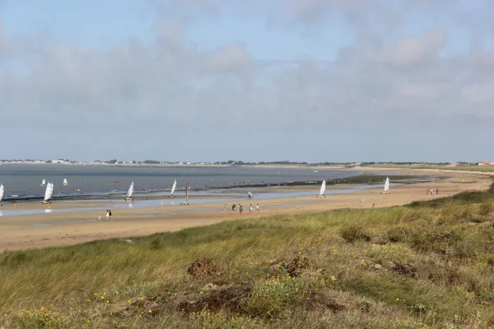 Camping - Barbâtre - Pays de Loire - Les Oncheres