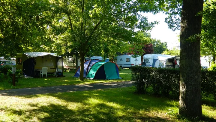 Camping - Montlouis-sur-Loire - Grand Centre - Les Peupliers