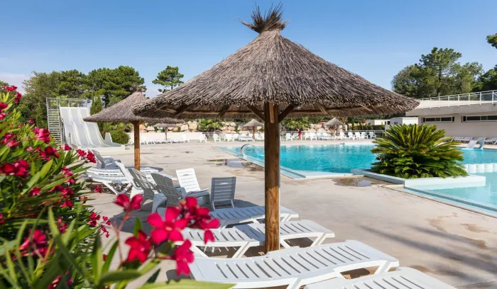 Camping - Argelès-sur-Mer - Languedoc-Roussillon - Les Pins