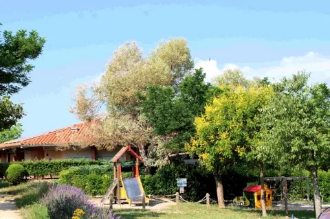 Camping - Les Salles-sur-Verdon - Provence-Alpes-Côte d'Azur - Les Pins