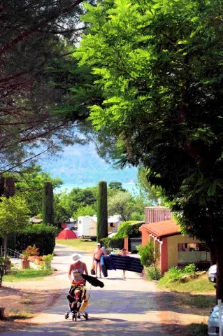 Camping - Les Salles-sur-Verdon - Provence-Alpes-Côte d'Azur - Les Pins