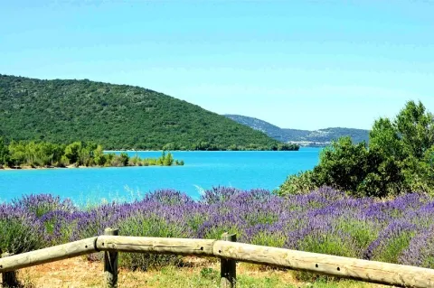 Camping - Les Salles-sur-Verdon - Provence-Alpes-Côte d'Azur - Les Pins