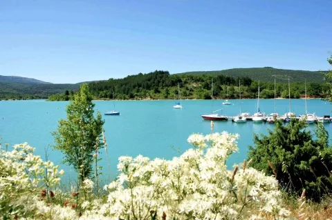 Camping - Les Salles-sur-Verdon - Provence-Alpes-Côte d'Azur - Les Pins