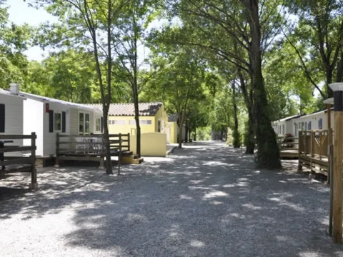 Camping - Lavilledieu - Rhône-Alpes - Les Rives d'Auzon