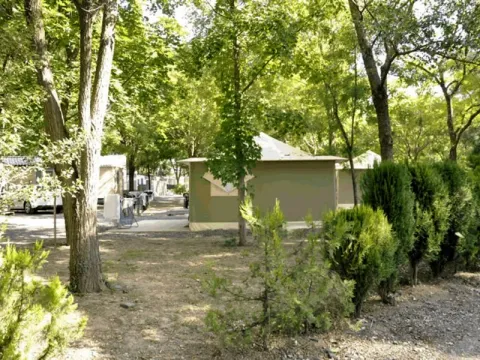 Camping - Lavilledieu - Rhône-Alpes - Les Rives d'Auzon