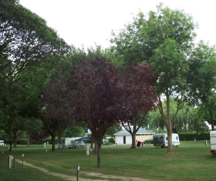Camping - Doué-la-Fontaine - Pays de Loire - Les Rives du Douet