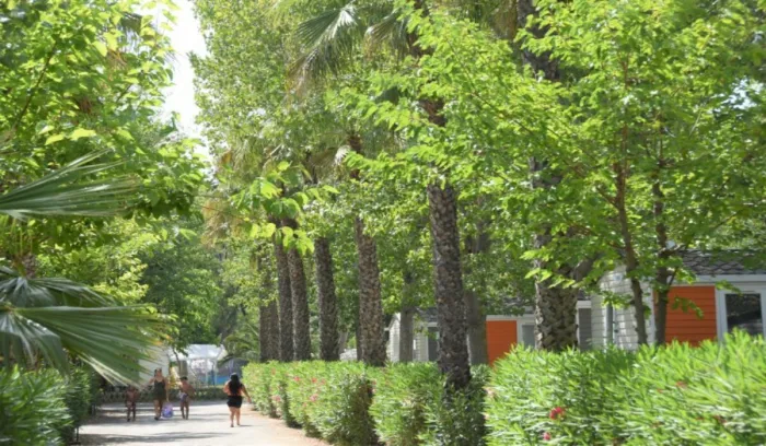 Camping - Vias - Languedoc-Roussillon - Les Salisses