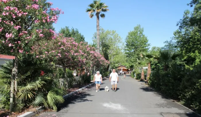 Camping - Vias - Languedoc-Roussillon - Les Salisses