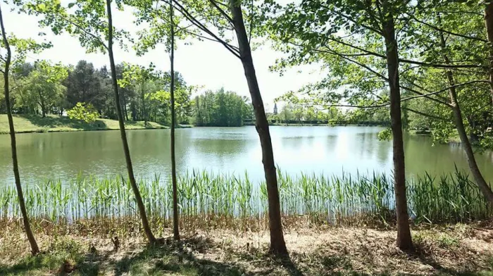 Camping - Keskastel - Alsace - Les Sapins