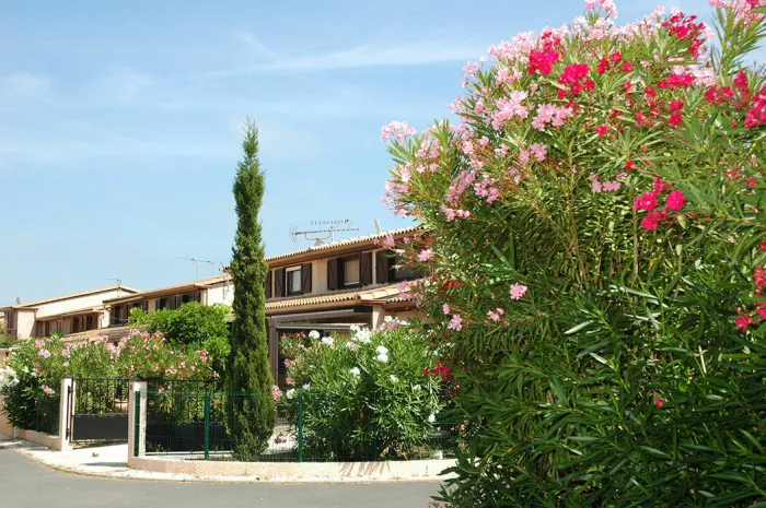 Camping - Portiragnes - Languedoc-Roussillon - Les Tamaris & Les Portes Du Soleil