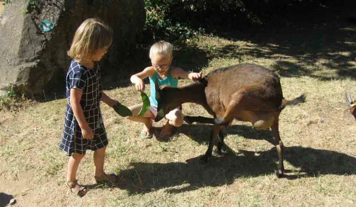 Camping - Belgentier - Provence-Alpes-Côte d'Azur - Les Tomasses