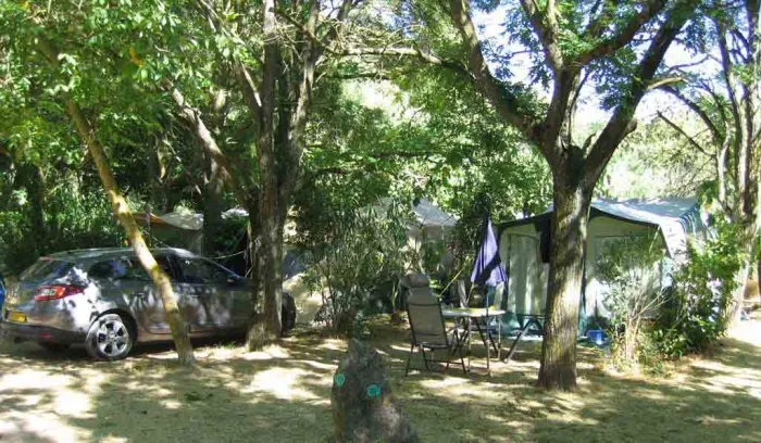 Camping - Belgentier - Provence-Alpes-Côte d'Azur - Les Tomasses