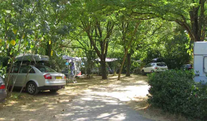 Camping - Belgentier - Provence-Alpes-Côte d'Azur - Les Tomasses