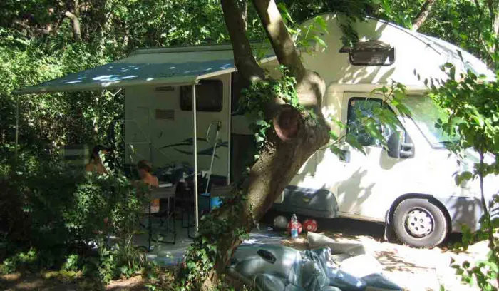 Camping - Belgentier - Provence-Alpes-Côte d'Azur - Les Tomasses