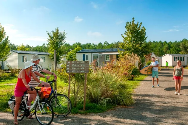 Camping - Lit-et-Mixe - Aquitaine - Les Vignes