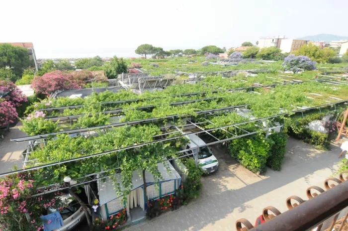 Camping - Cervo - Ligurie - Lino