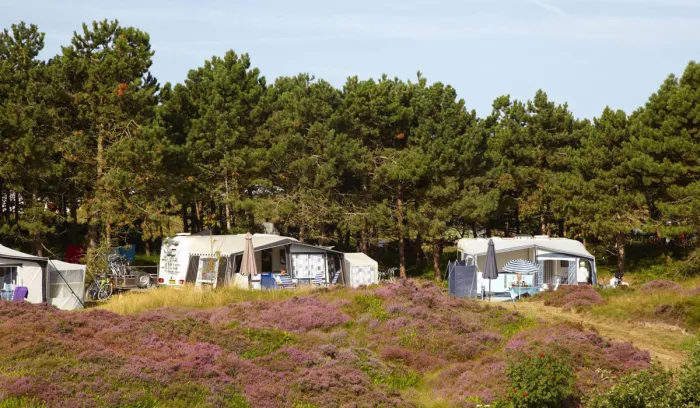Camping - Texel - Hollande-Septentrionale - Loodsmansduin