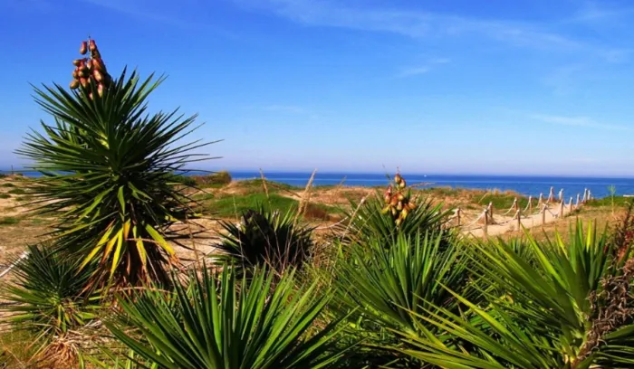 Camping - Dénia - Costa de Valencia - Los Llanos