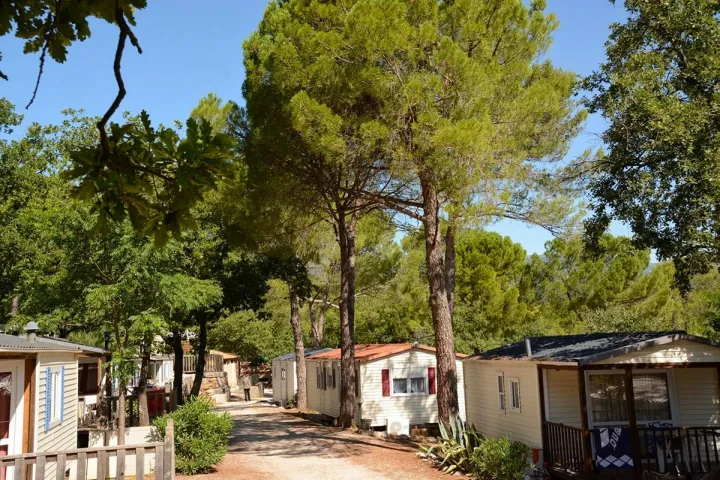 Camping - Fayence - Provence-Alpes-Côte d'Azur - Lou Cantaire