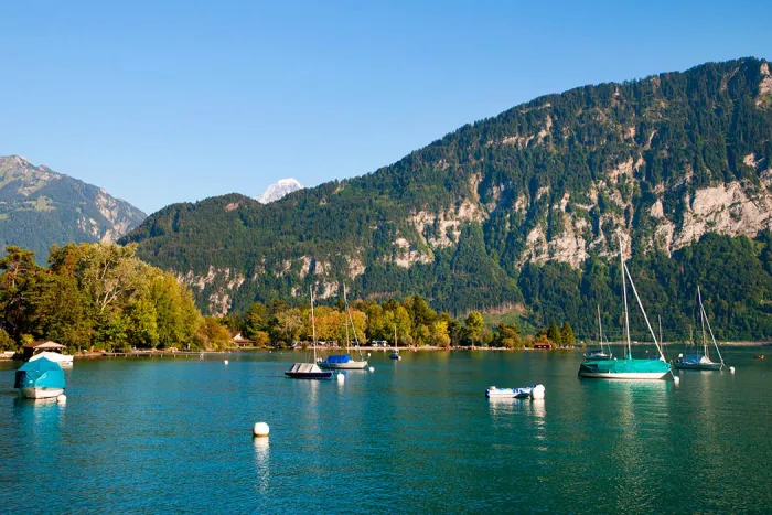 Camping - Interlaken - Espace Mittelland - Manor Farm