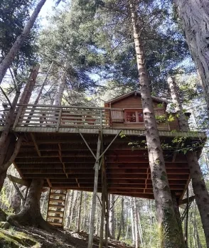Camping - Prats-de-Mollo-la-Preste - Languedoc-Roussillon - Mont Ôz'Arbres