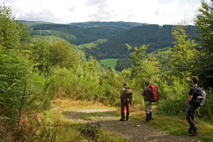 Camping - Hotton - Luxembourg - Moulin de Hotton