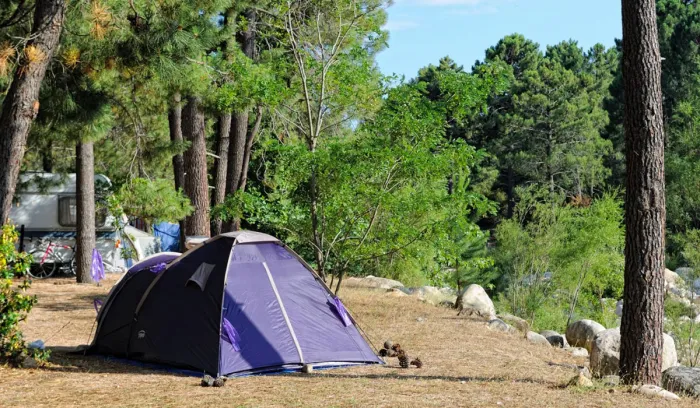 Camping - Lecci - Corse - Mulinacciu