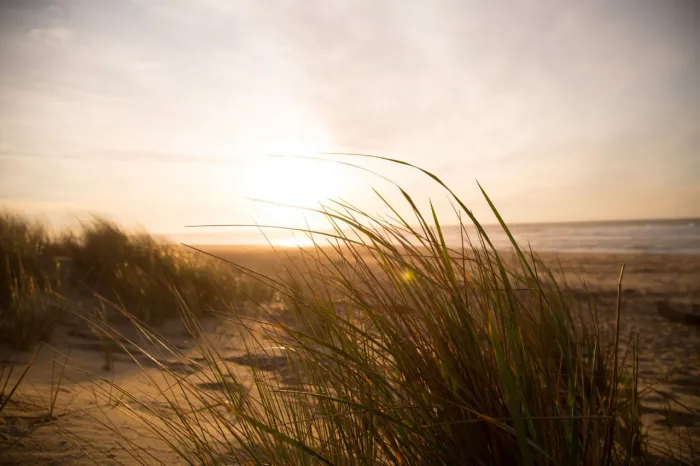 Camping - Norden - Basse-Saxe - Norddeich