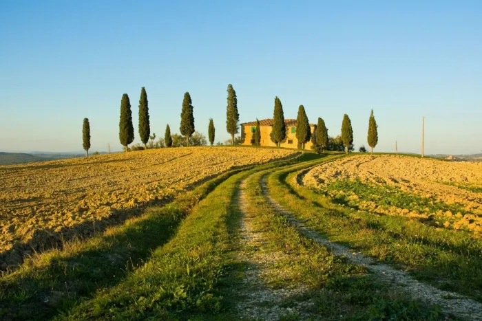 Camping - Cavriglia - Toscane - Orlando in Chianti