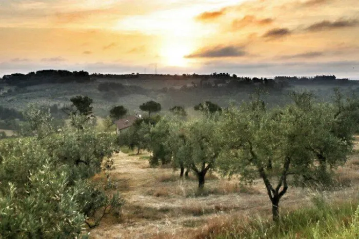 Camping - Certaldo - Toscane - Panorama del Chianti