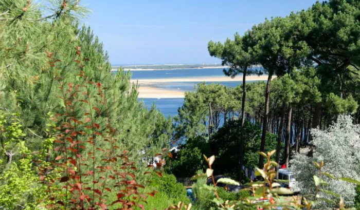 Camping - Pyla sur Mer - Aquitaine - Panorama du Pyla