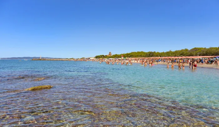 Camping - Riotorto - Toscane - Pappasole