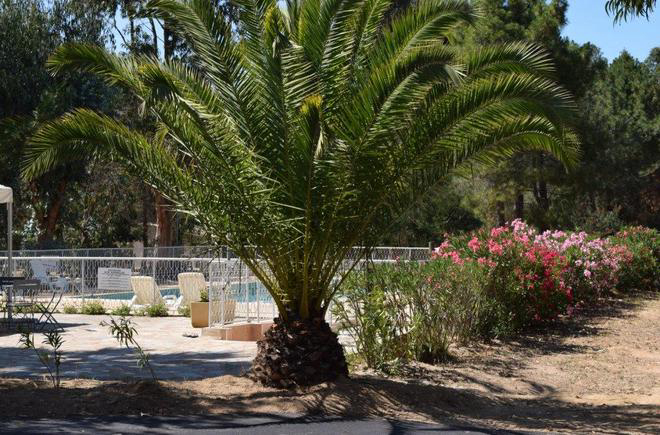 Camping - Calenzana - Corse - Paradella - Image #6