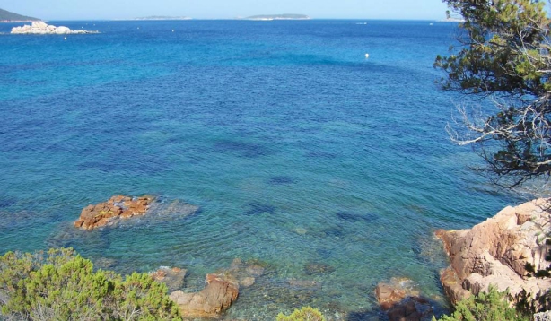 Camping - Belgodère - Corse - Parc résidentiel la Listra - Image #5