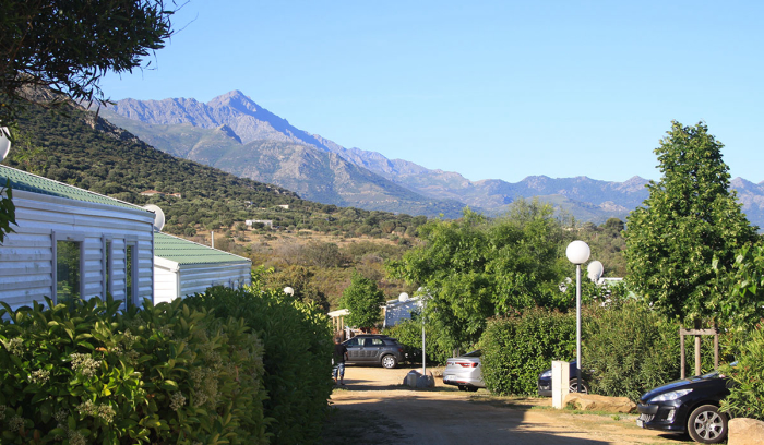 Camping - Belgodère - Corse - Parc résidentiel la Listra - Image #8