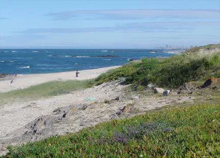 Camping - Vila do Conde - Norte - Parque de Campismo Sol de Vila Chã