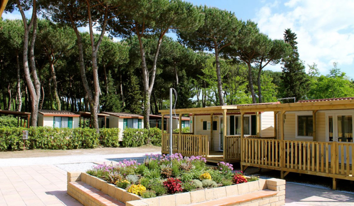 Marina di Massa - 5 - campings