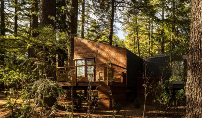 Camping - Bornes de Aguiar - Norte - Pedras Salgadas Spa & Nature Park