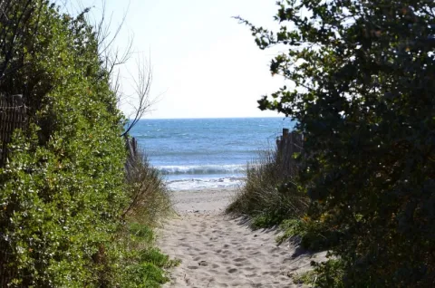 Camping - Vias - Languedoc-Roussillon - Pleine Mer