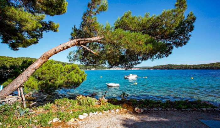 Camping Poljana - Mali Losinj