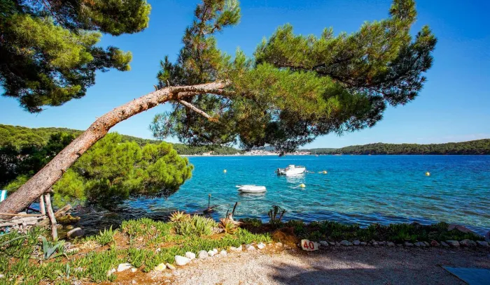 Camping - Mali Losinj - Primorje-Gorski Kotar - Poljana