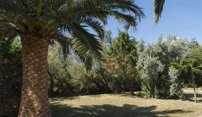 Camping - Le Barcarès - Languedoc-Roussillon - Pré Catalan
