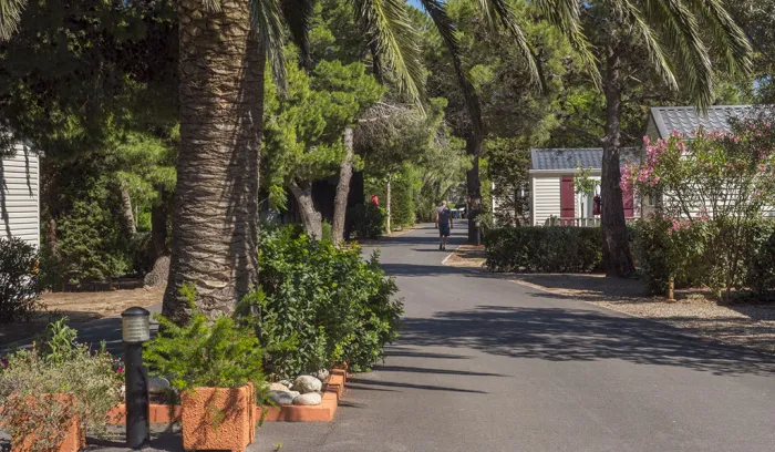 Camping - Le Barcarès - Languedoc-Roussillon - Pré Catalan