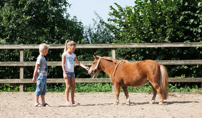 Camping - voorthuizen - Gueldre - Recreatiepark De Boshoek