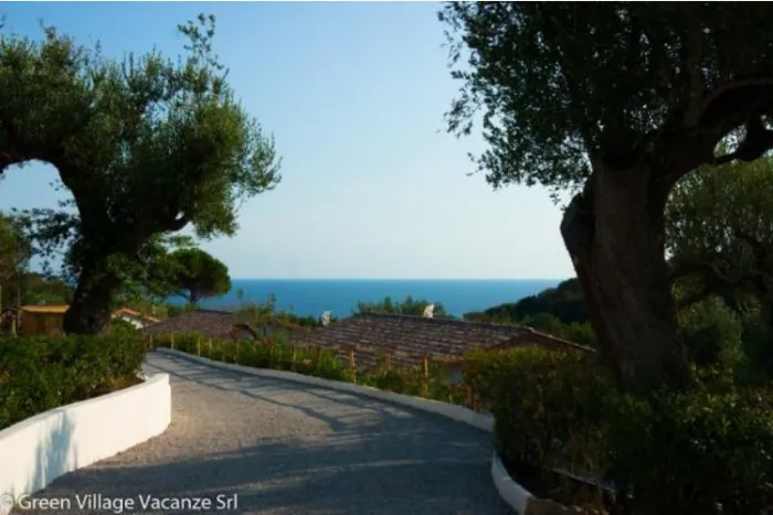 Camping - Camerota - Campanie - Résidence Green Village